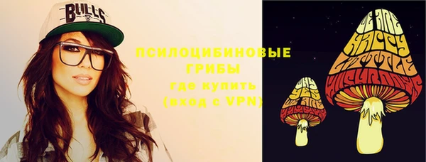 стаф Алексин