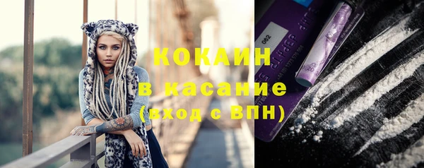 стаф Алексин