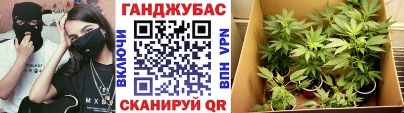 Шишки марихуана план Павлово